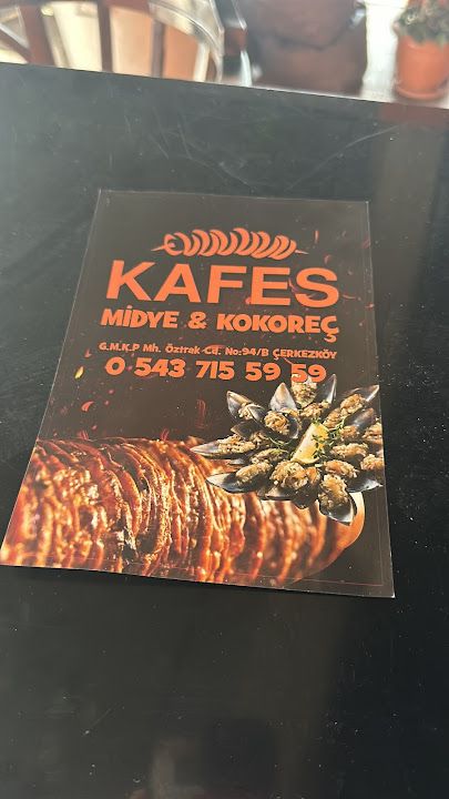 Fotoğraf 12