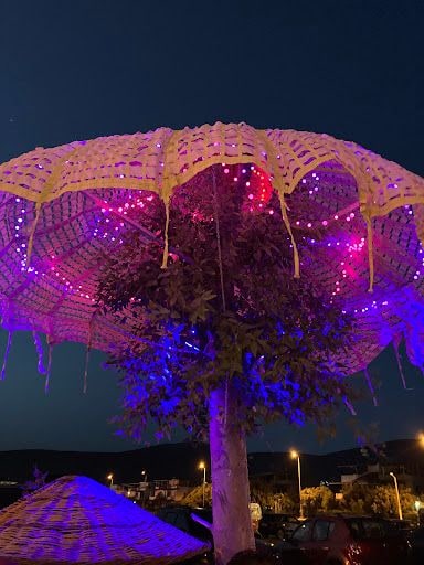 Fotoğraf 19