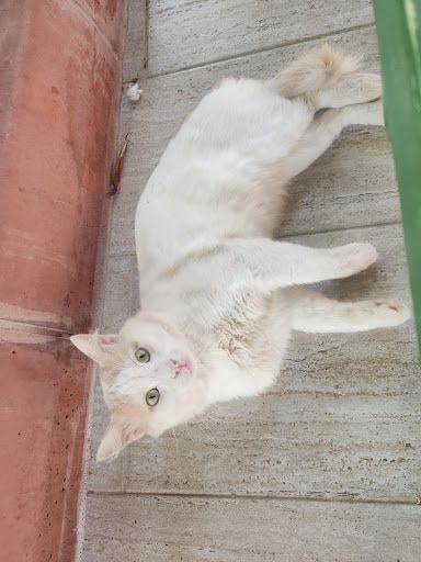 Yorum fotoğrafı 5