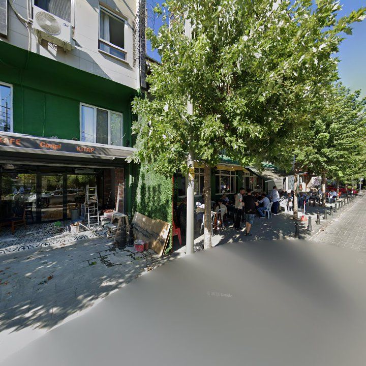 Fotoğraf 8