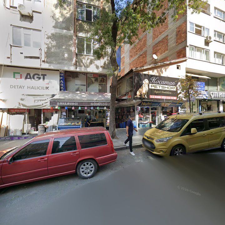Fotoğraf 10