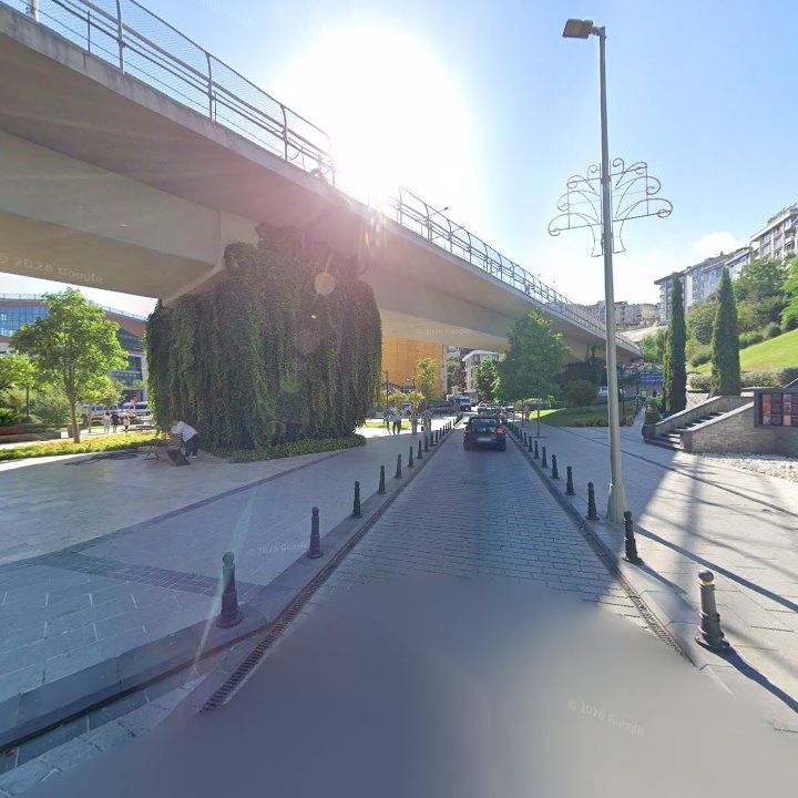 Fotoğraf 11