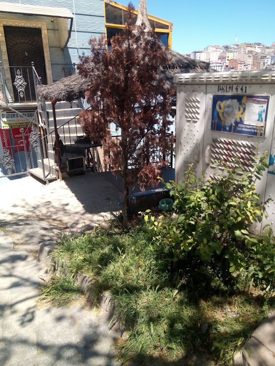 Istanbul Halk Ekmek