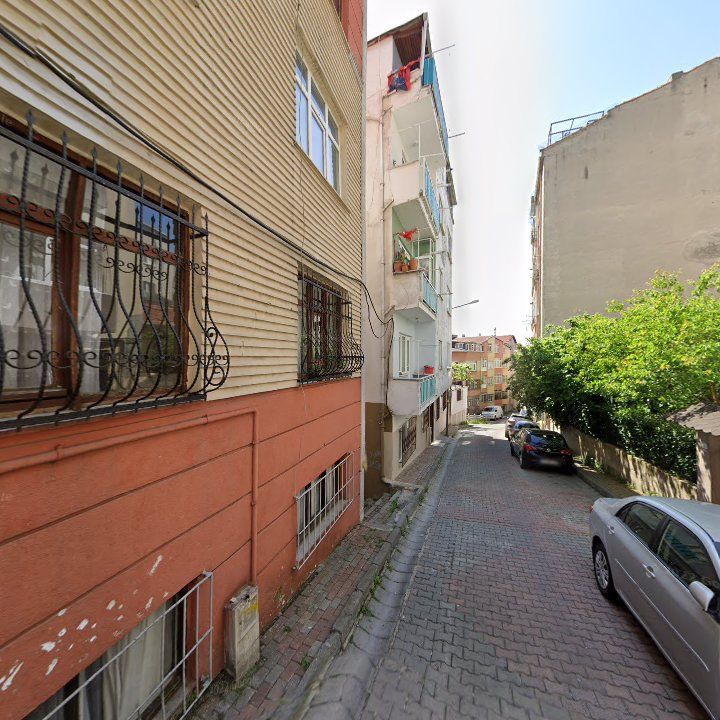 Fotoğraf 12