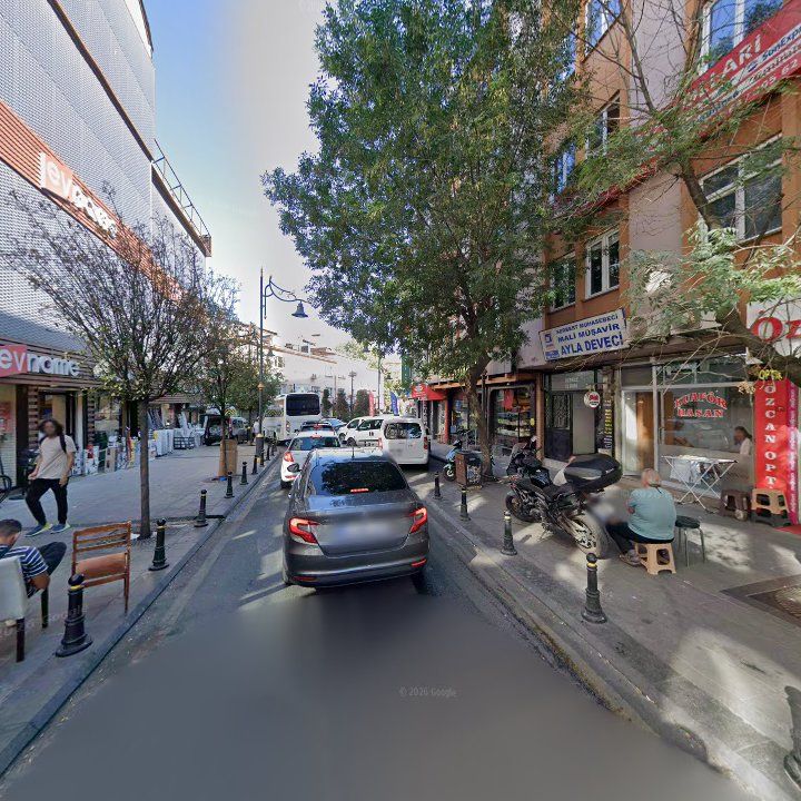 Fotoğraf 8