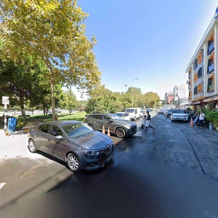 Fotoğraf 10