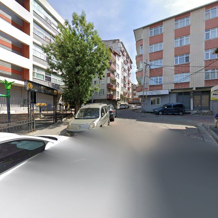 Fotoğraf 12