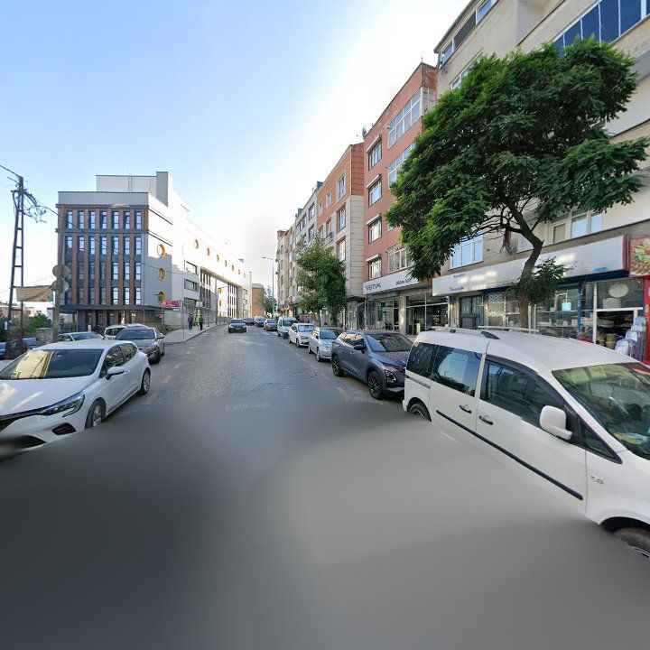 Fotoğraf 12