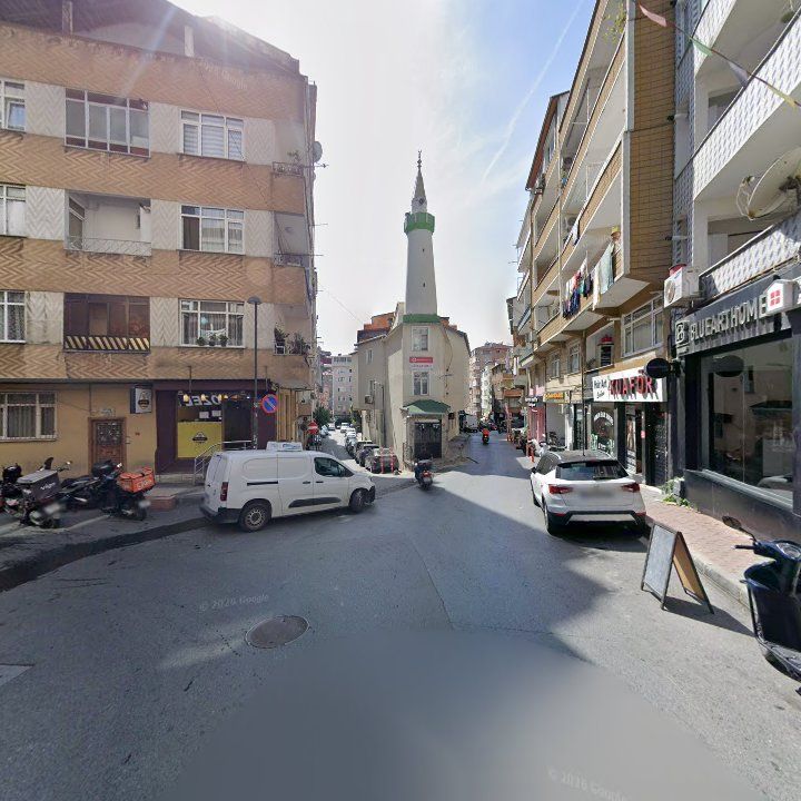 Fotoğraf 9