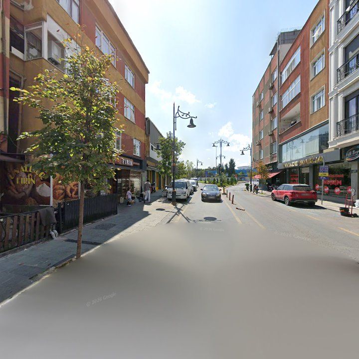 Fotoğraf 10