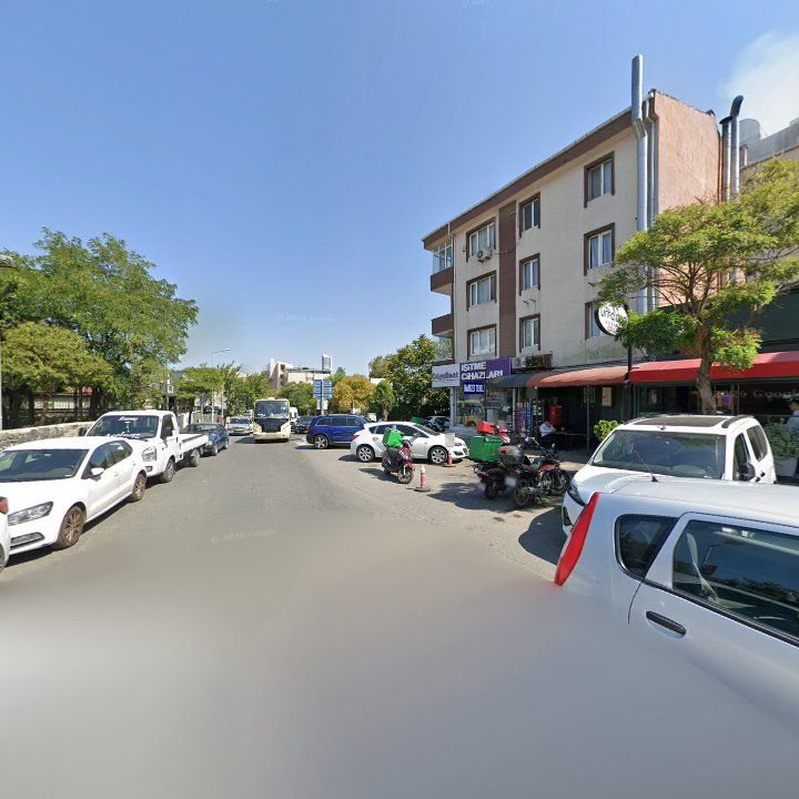 Fotoğraf 10