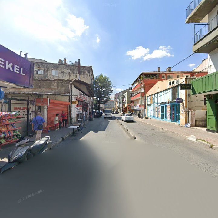 Fotoğraf 17