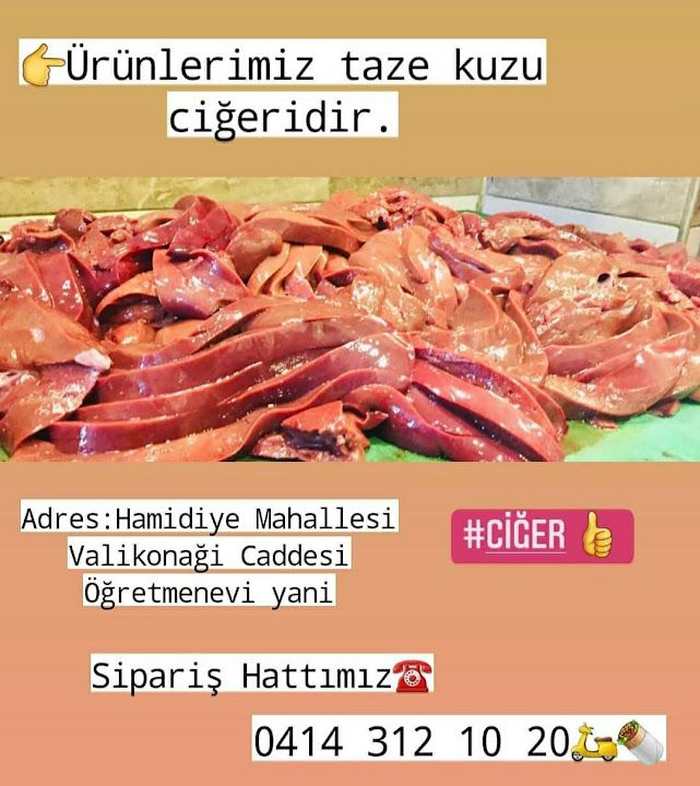 Fotoğraf 15
