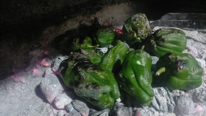 Fotoğraf 13
