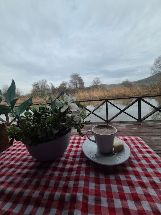 Fotoğraf 43