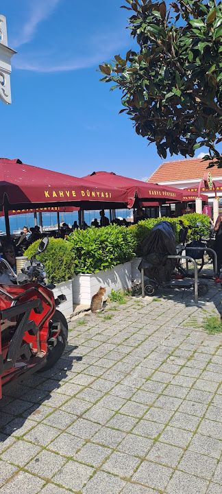 Fotoğraf 66