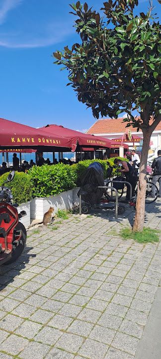 Fotoğraf 64