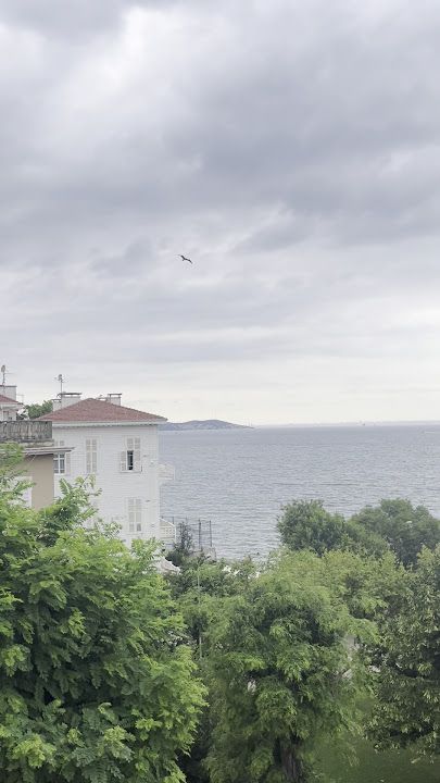 Fotoğraf 33