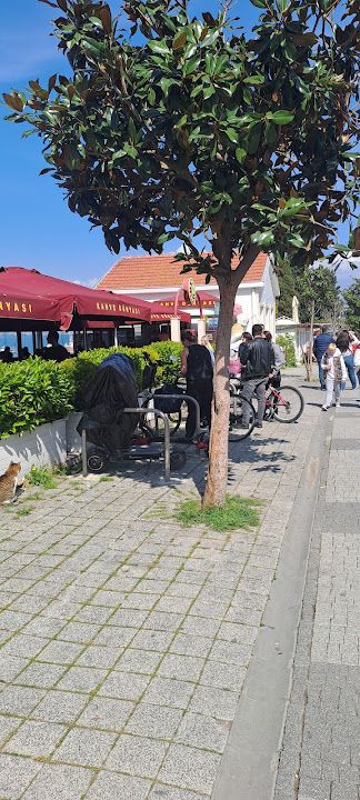 Fotoğraf 65