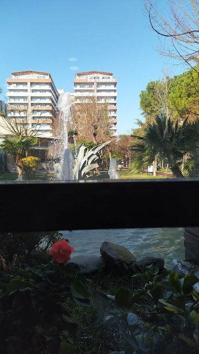 Fotoğraf 14
