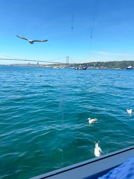 Fotoğraf 74