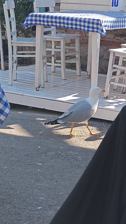 Fotoğraf 23