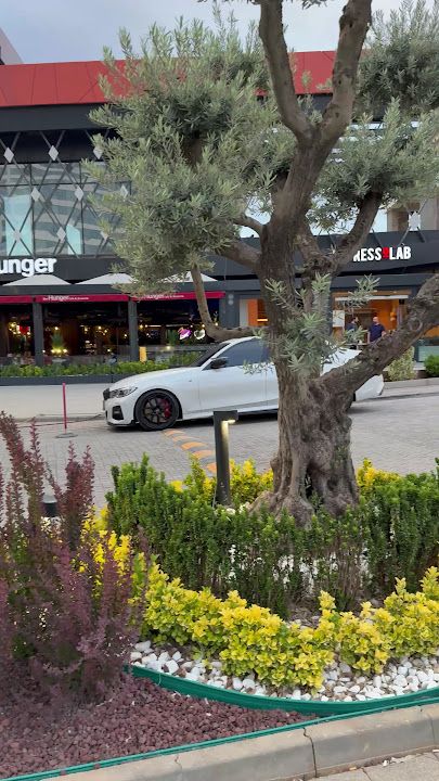 Fotoğraf 12