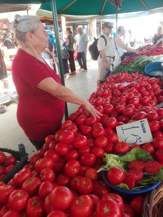 Fotoğraf 12