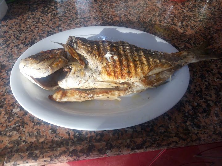 Fotoğraf 22
