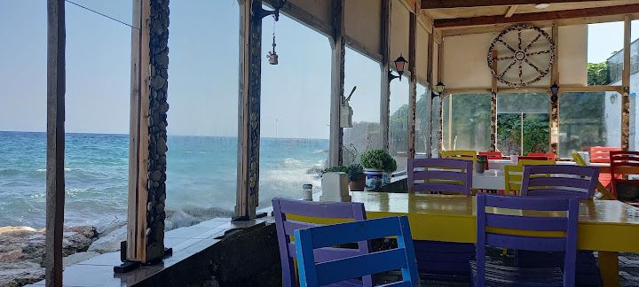 Fotoğraf 24