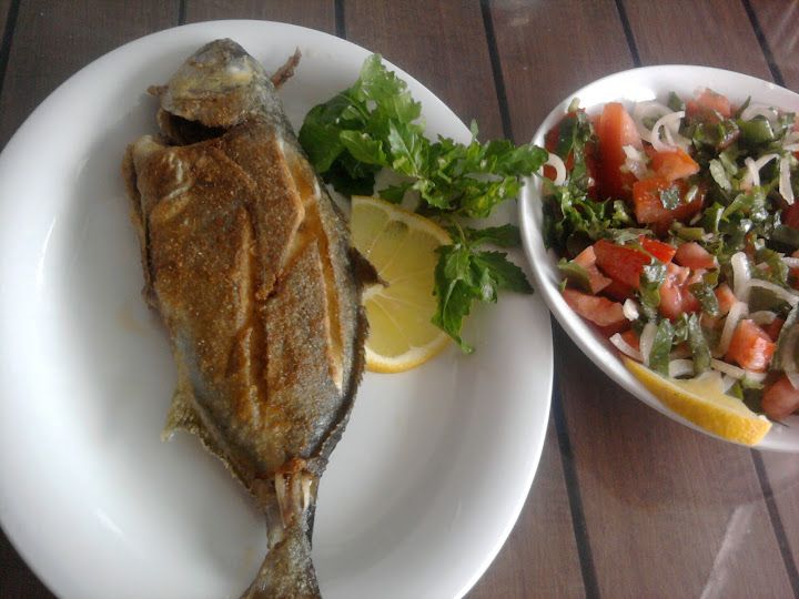 Fotoğraf 27