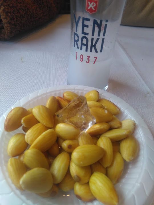 Fotoğraf 28