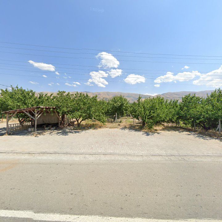 Fotoğraf 11