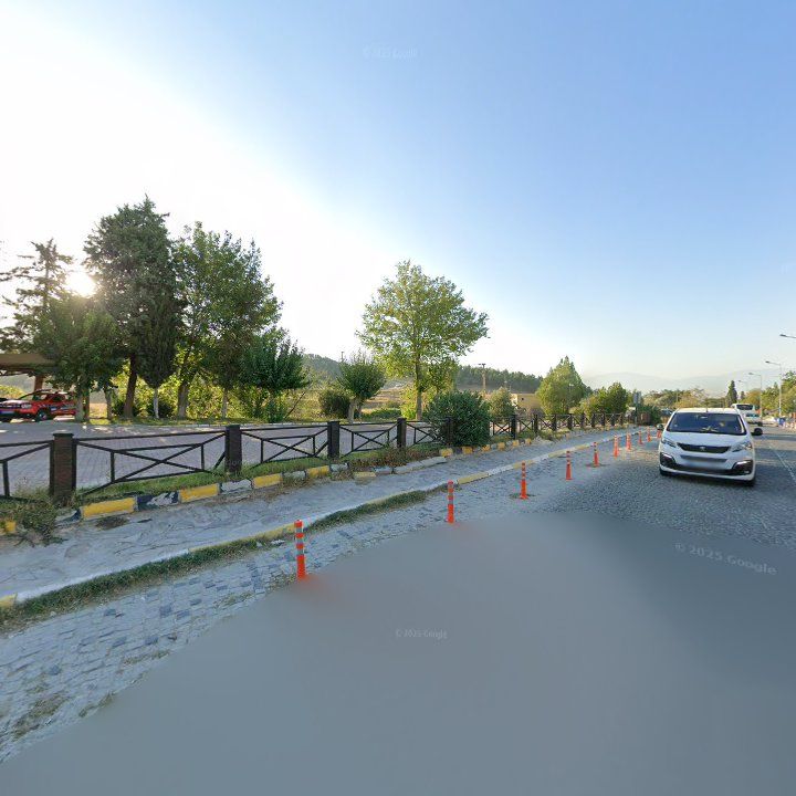 Fotoğraf 12