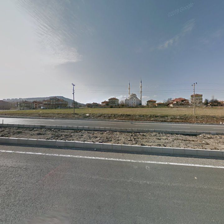 Fotoğraf 8