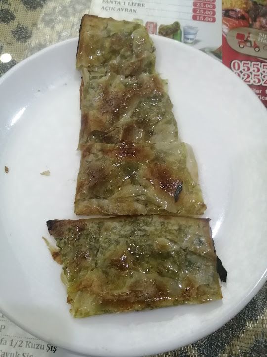 Fotoğraf 19
