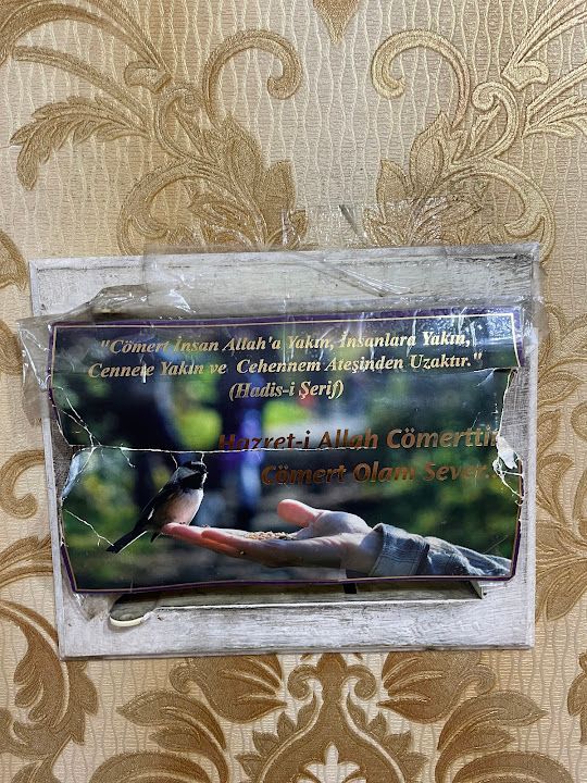 Yorum fotoğrafı 4