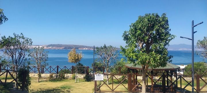 Yorum fotoğrafı 2