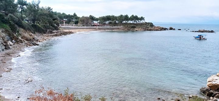 Yorum fotoğrafı 3