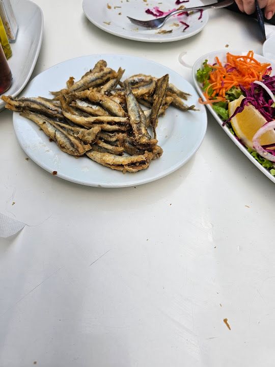 Fotoğraf 13