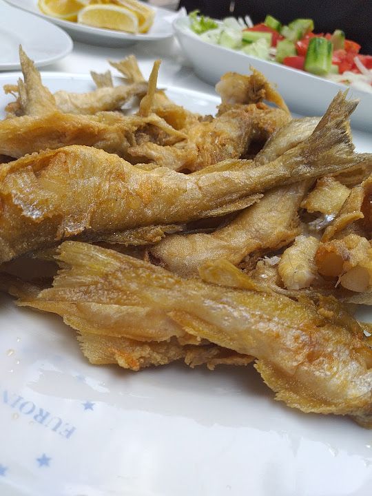 Fotoğraf 19