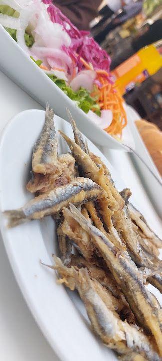 Fotoğraf 13