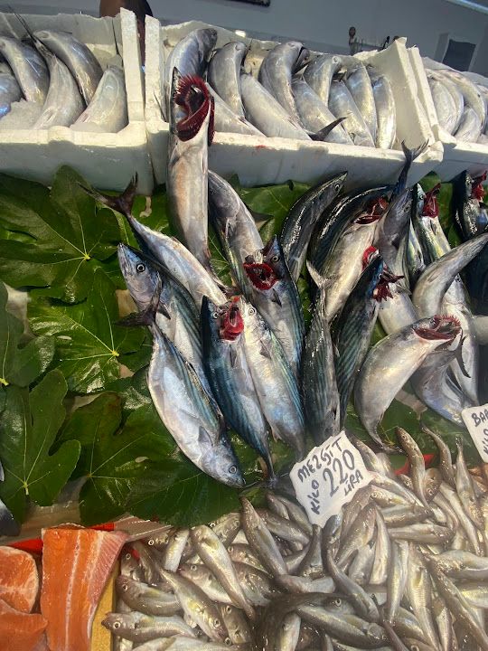 Fotoğraf 19