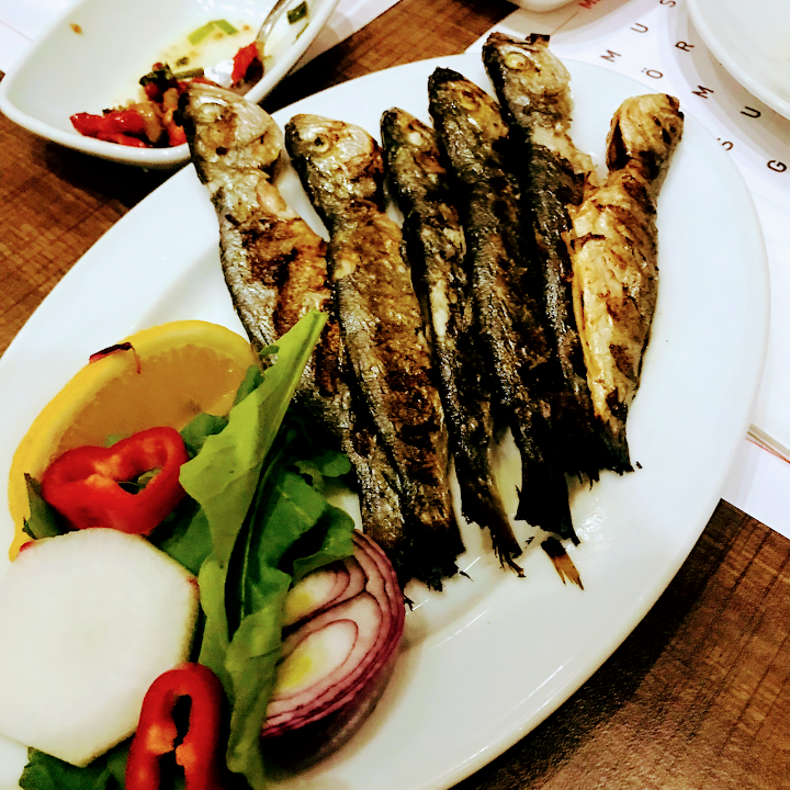 Fotoğraf 30
