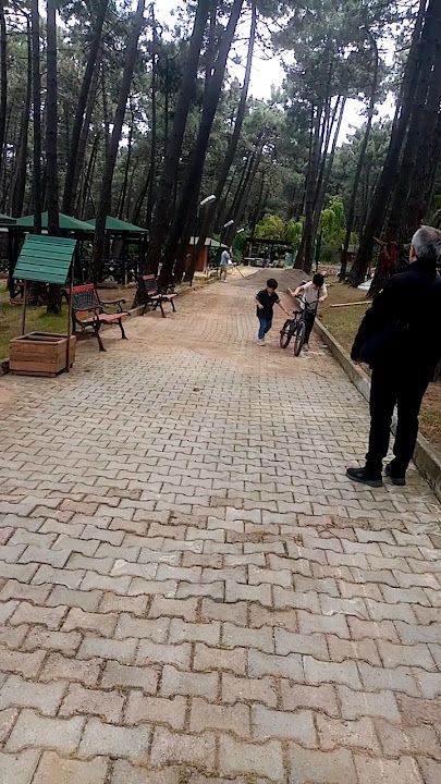 Fotoğraf 32