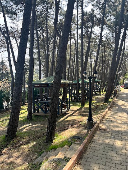 Fotoğraf 71