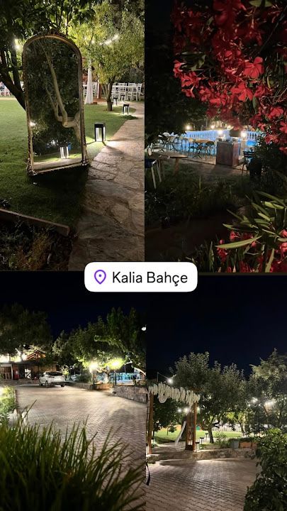 Fotoğraf 48