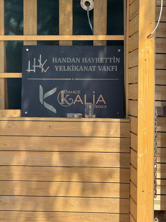 Fotoğraf 61