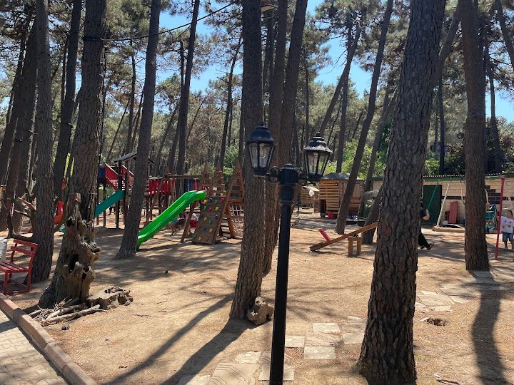 Fotoğraf 25