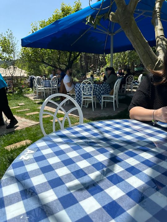 Fotoğraf 67